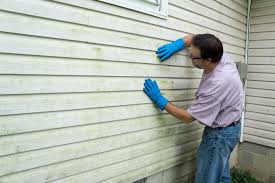 Best Storm Damage Siding Repair  in Charlottesville, VA